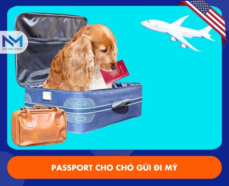 passport gui cho di my