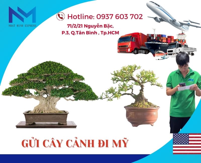 gui cay canh di my 2