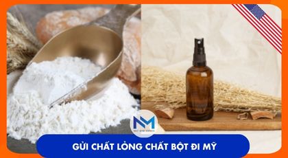 gui chat long chat bot di my