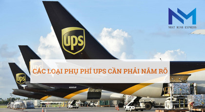Phụ phí UPS