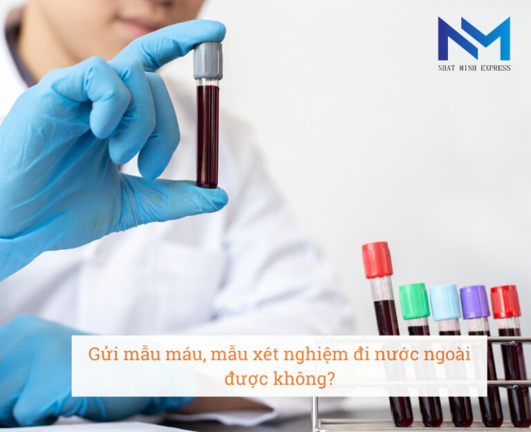 Gui Maaux Gửi mẫu máu đi nước ngoài xét nghiệm vận chuyển bệnh phẩm