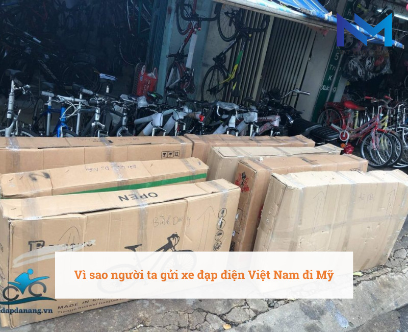 Vì sao người ta gửi xe đạp điện Việt Nam đi Mỹ