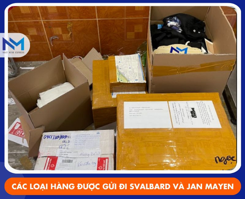 cac mat hang thuong duoc van chuyen sang svalbard va jan mayen