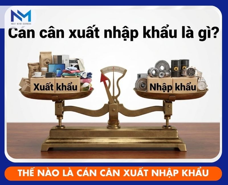 can can xuat nhap khau la gi