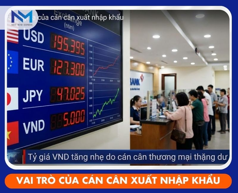 vai tro va y nghia cua can can xuat nhap khau