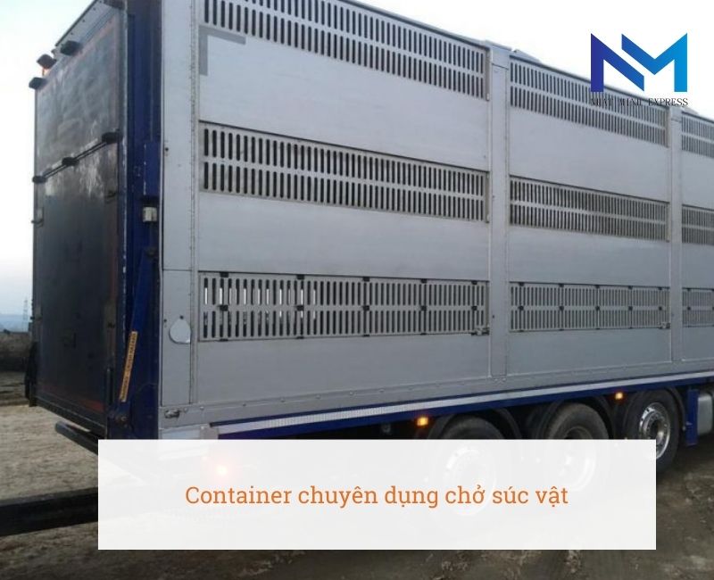 Container chuyên dụng chở súc vật