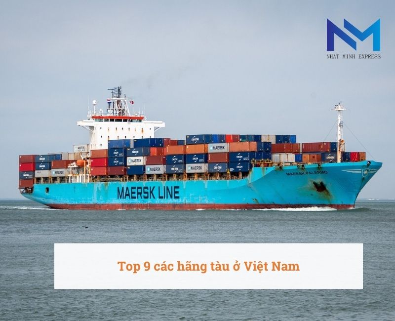 Top 9 các hãng tàu ở Việt Nam