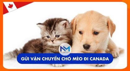 Gửi vận chuyển chó mèo đi Canada