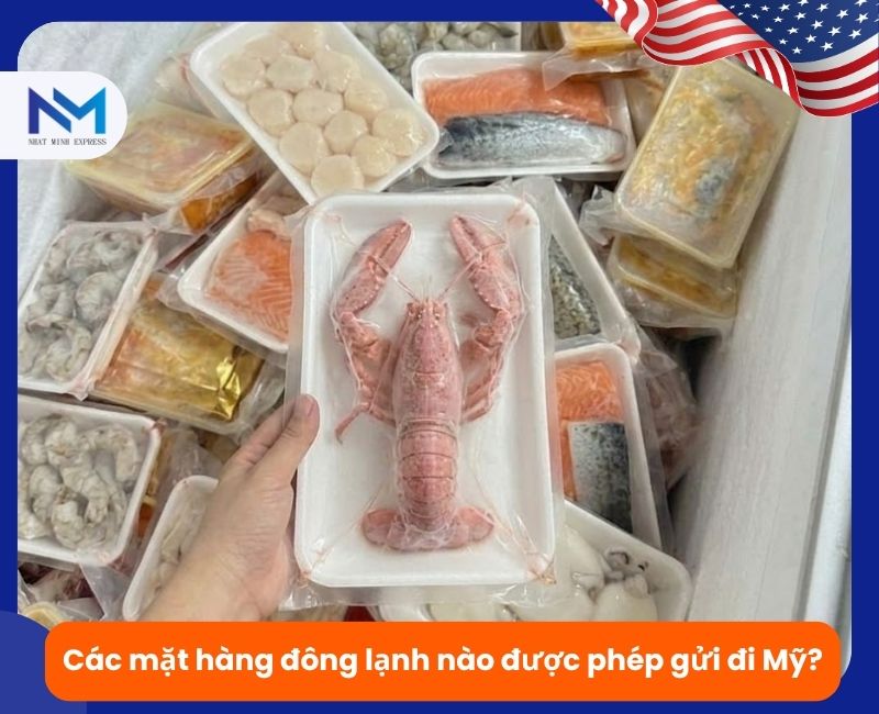 cac mat hang dong lanh duoc phep gui di my
